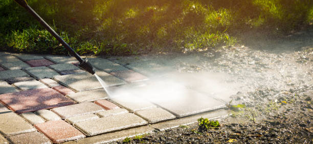 Solar Panel Cleaning in Lanark, IL